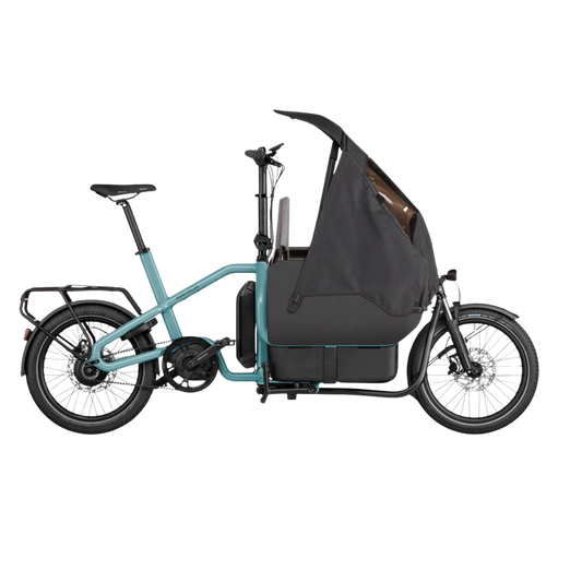 Riese & Müller - Carrie vario