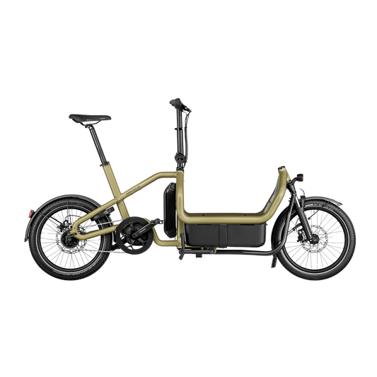 Riese & Müller - Carrie EASY