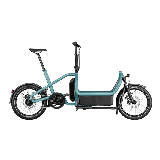 Riese & Müller - Carrie city