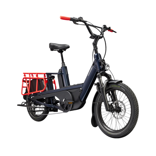 Cannondale - Cargowagen Neo 1