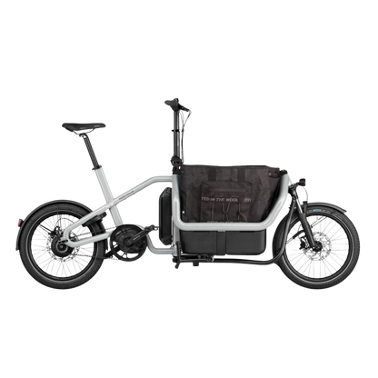 Riese & Müller - Carrie vario