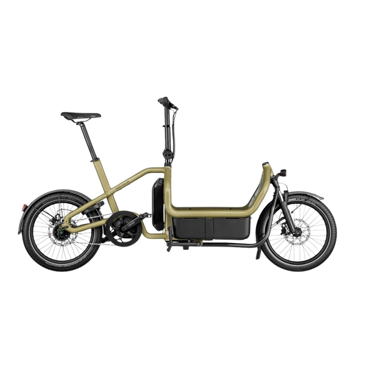 Riese & Müller - Carrie vario