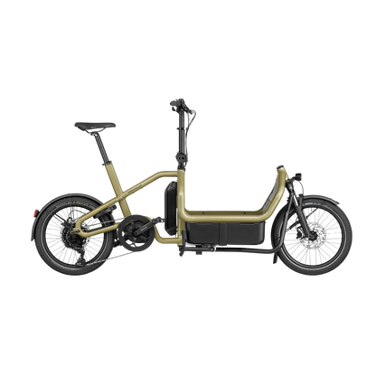 Riese & Müller - Carrie touring