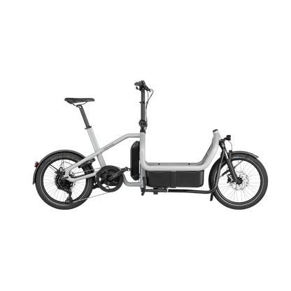 Riese & Müller - Carrie touring