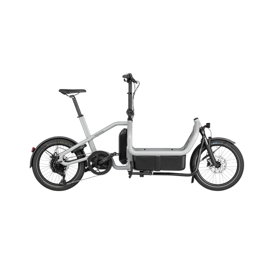 Riese & Müller - Carrie touring