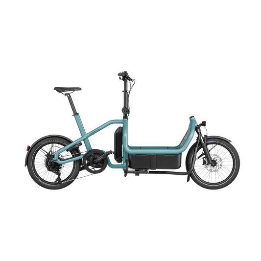 Riese & Müller - Carrie touring