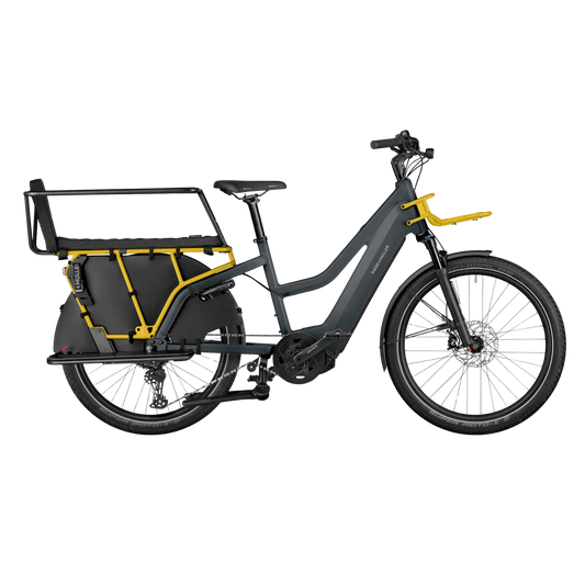 Riese & Müller – Multicharger3 Rohloff mixte